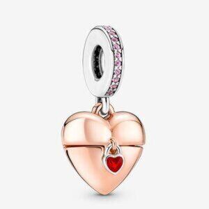 Pandora charms